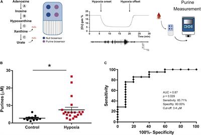 Novel Point-of-Care Diagnostic Method for Neonatal Encephalopathy Using Purine Nucleosides